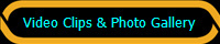 There are plenty of tribal bellydance pictures, belly dance videos, and tribal fusion bellydance webclips located here